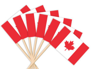 Canada Toothpick Flag
