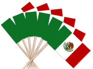 Toothpick Flags Mexico
