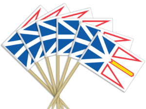 Newfoundland Toothpick Flags
