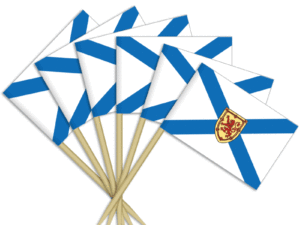 Nova Scotia Toothpick Flags