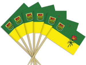 Saskatchewan Toothpick Flags