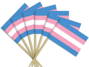 Toothpick Flag Transgender