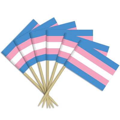 Toothpick Flag Transgender