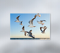 Art Canvas Roll 15mil